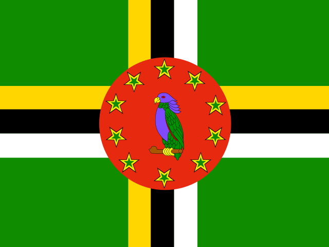 dm Flag